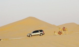 Abu Dhabi Desert: Camels & 4WD Abu Dhabi Desert: Camels & 4WD