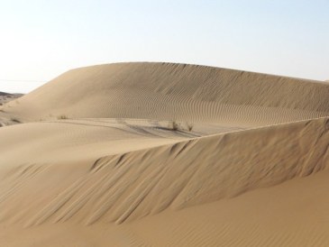 Abu Dhabi Desert: dune patterns forming Abu Dhabi Desert: dune patterns forming