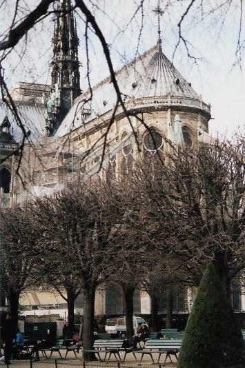 Parke Behind Notre Dame Cathedral Paris Parke Behind Notre Dame Cathedral Paris