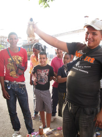 Thumbnail: guinea pig gambling-Cuba Thumbnail: guinea pig gambling-Cuba