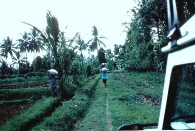 4WD track in Bali mountains