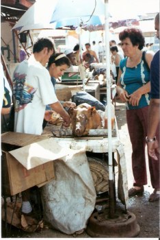 BBQ pig at Agricultural Fair – Havana