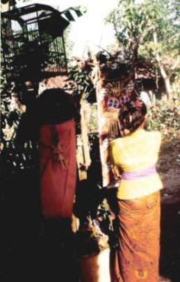 Bali village wedding offerings of welcome