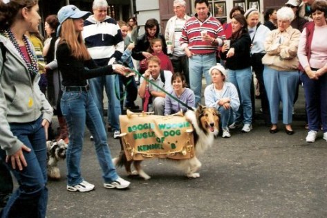 Boogie dog at Krewe of Barkus Parade New Orleans