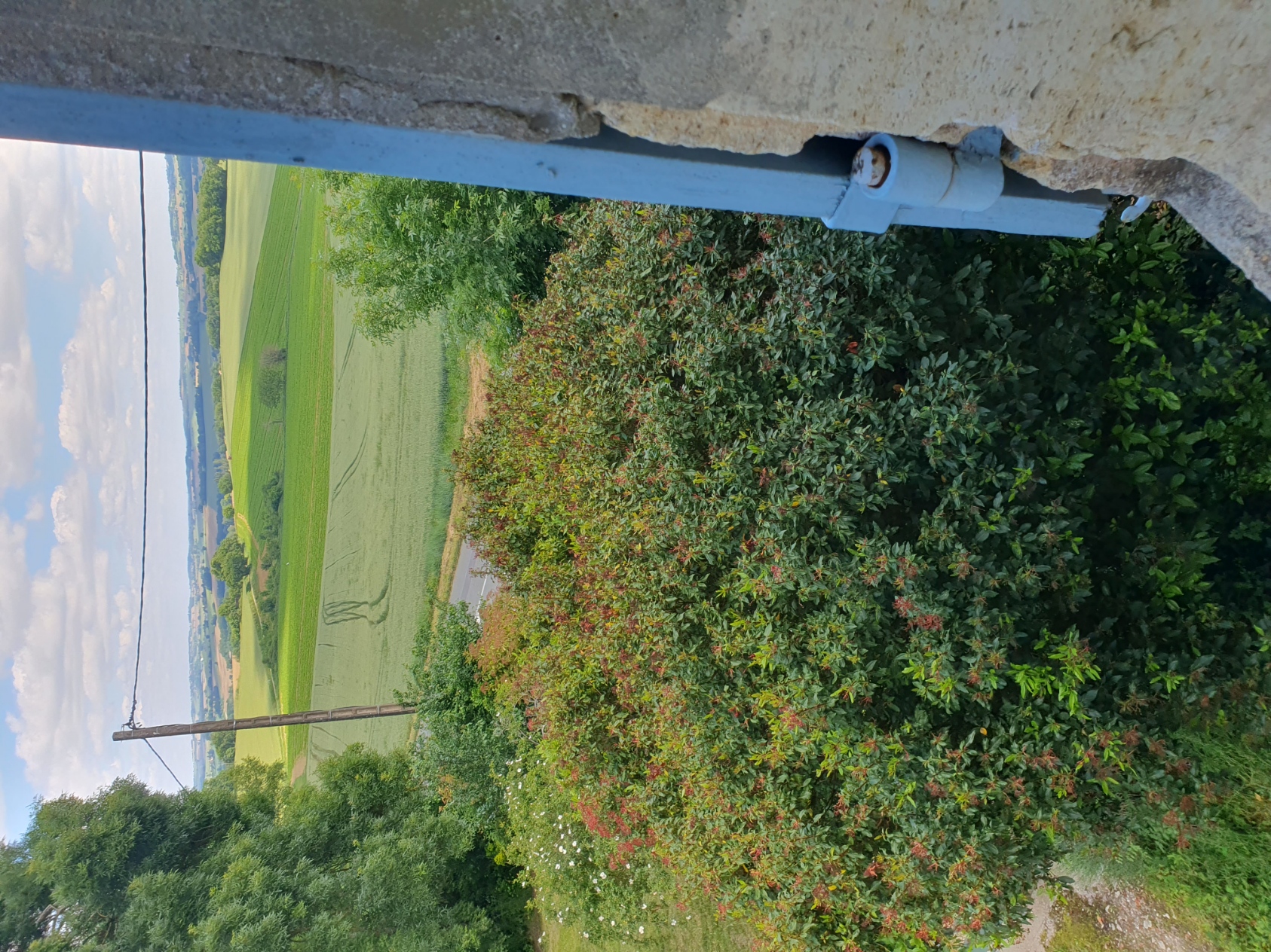 Chambre d@Hôtes Four Winds view from guest room Lavender