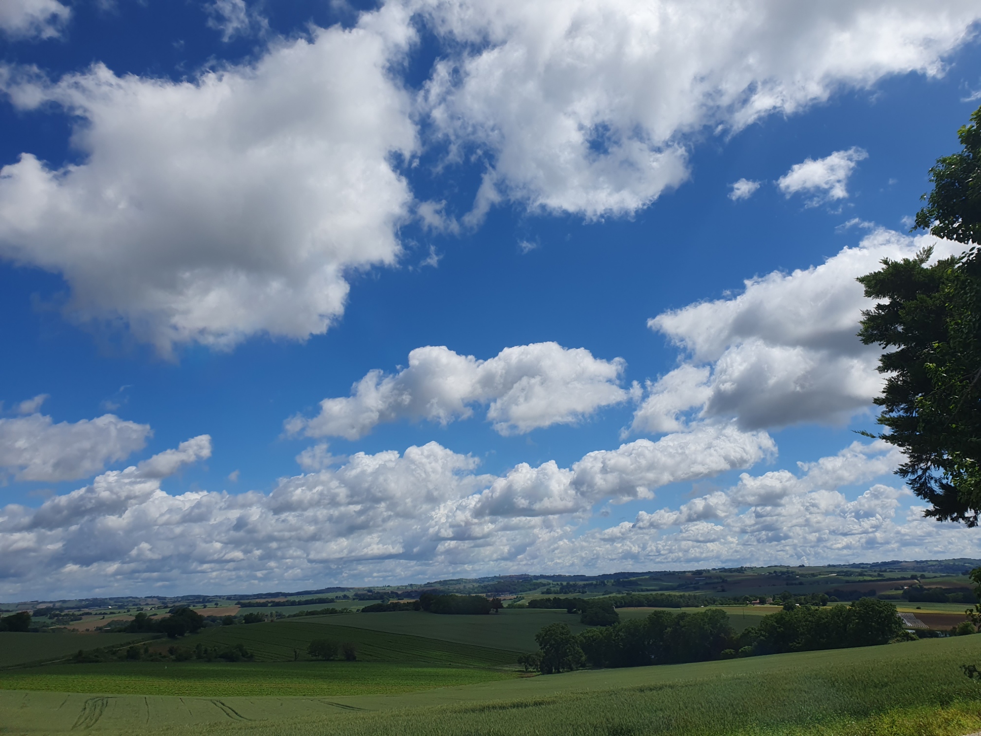 Chambre d'Hôtes_Four Winds view