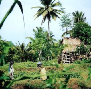 Coconut-headed scarecrows in Bali