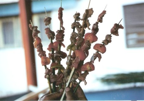 Cooked kebabs on reed skewers – Agricultural Fair – Havana