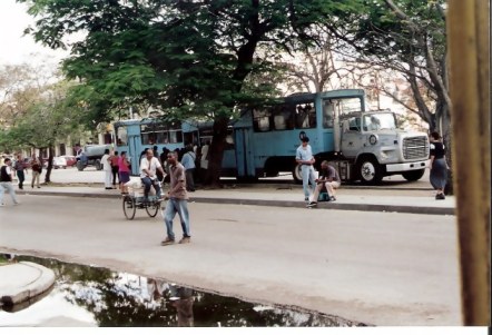 Havana Turquoise Camelo with water truck in background