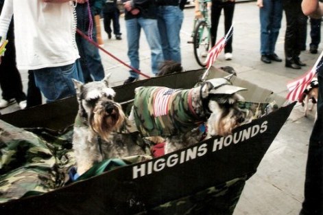 Higgins hounds at Krewe of Barkus Parade New Orleans 