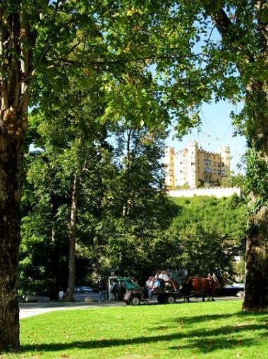 Horse-drawn-carriage in parklands of Hohenschwangau