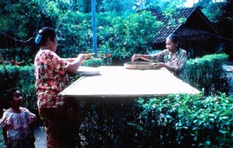 Laying out rice to dry in Bali