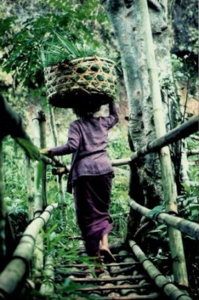 Mountain bamboo bridge in Bali