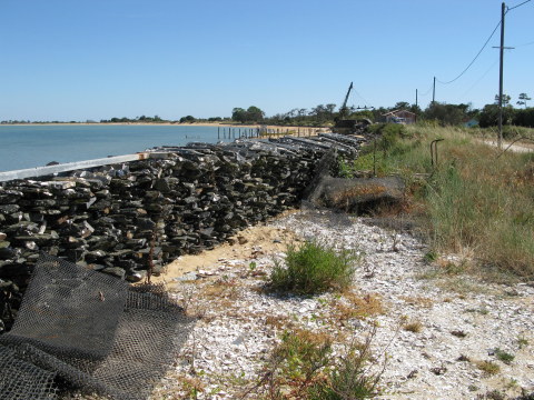 Île d’Oléron oyster stakes and mesh sacks