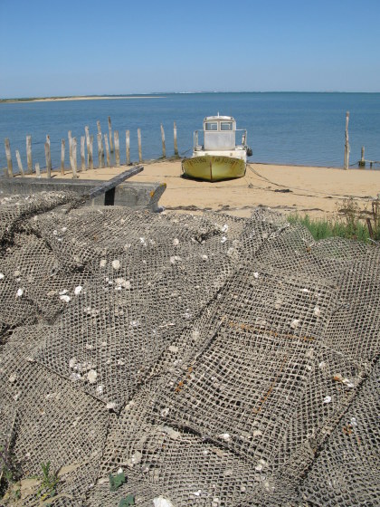 Île d’Oléron piles of mesh sacks