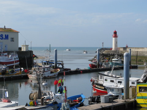 Île d’Oléron port of La Cotinière fishing boats returning
