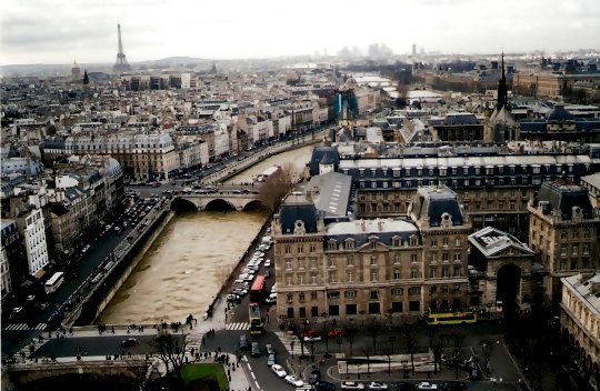 View to Eiffel Tower from Notre Dame Cathedral Tower View to Eiffel Tower from Notre Dame Cathedral Tower