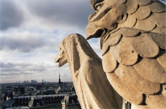 Stone Watch Birds on the Notre Dame Cathedral Tower Paris Stone Watch Birds on the Notre Dame Cathedral Tower Paris