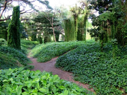 Pathways of Almendares Park Cuba