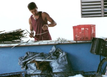 Sharpening reeds for kebab skewers– Agricultural Fair – Havana