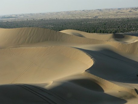Abu Dhabi Desert: Dune bashing - desert edge