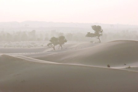 Abu Dhabi Desert dust haze