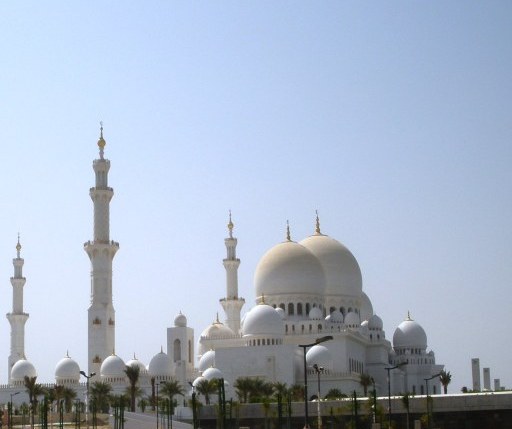 Abu Dhabi Grand Mosque with young palms