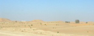 Abu Dhabi Desert route to dunes