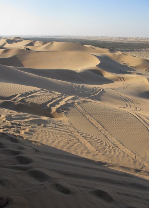 Abu Dhabi Desert stretching away
