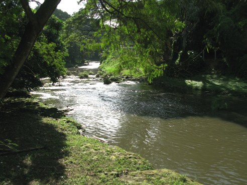 Almendares River Cuba
