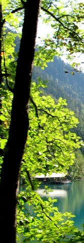 Alpsee boathouse glimpsed from carriage from Hohenschwangau Alpsee boathouse glimpsed from carriage from Hohenschwangau