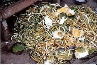 Apple peelings form peeling machine in Havana street Apple peelings form peeling machine in Havana street