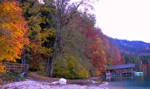 Autumn colours at dawn by the Alpsee boathouse Bavaria