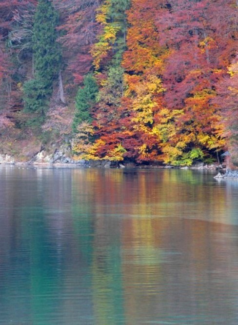 Autumn colours reflected onto the Alpsee Bavaria