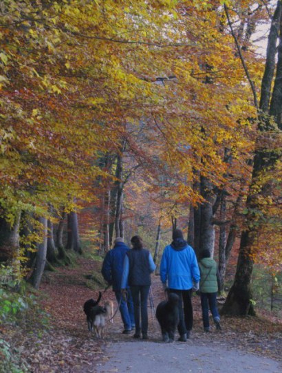 Autumn dog walkers beside Alpsee Hohenschwangau