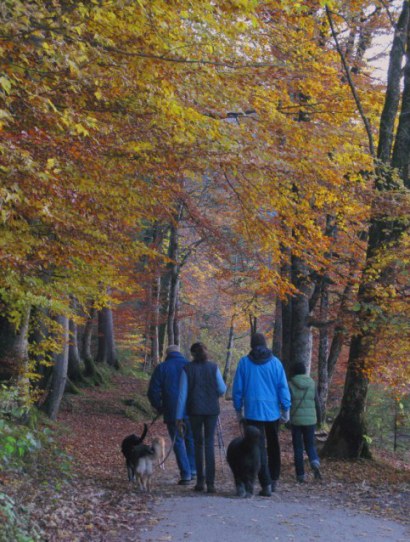 Autumn dog walkers beside Alpsee Hohenschwangau