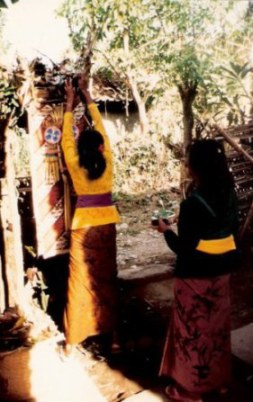 Bali village wedding hanging of offerings