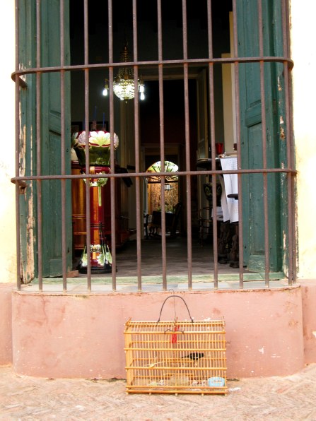 Bird in cage outside shop Trinidad de Cuba