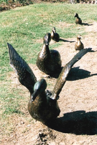 Bronze ducks at the Audubon Zoo New Orleans