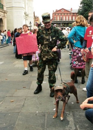 Camouflage dog at Krewe of Barkus Parade New Orleans
