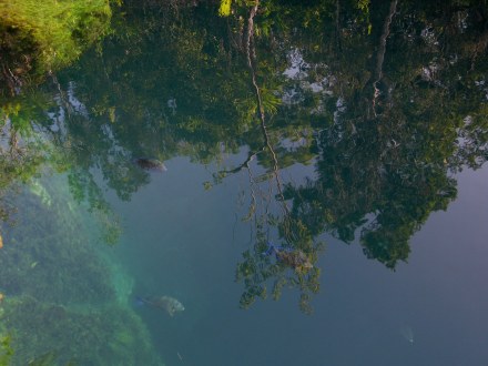 Clear water Cueva de los Peces Bay of Pigs Cuba