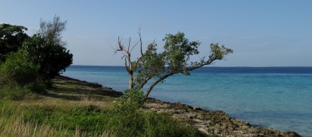 Coastline Bay of Pigs Cuba