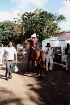 Cowboy riding bareback at agricultural fair – Havana