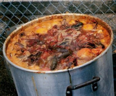 Crawfish boil in New Orleans Crawfish boil in New Orleans