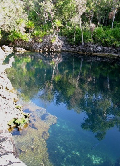 Cueva de los Peces Bay of Pigs Cuba