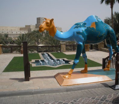 Dubai Madinat Jumeirah international camel