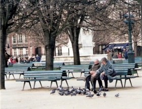 Feeding bird in Paris park