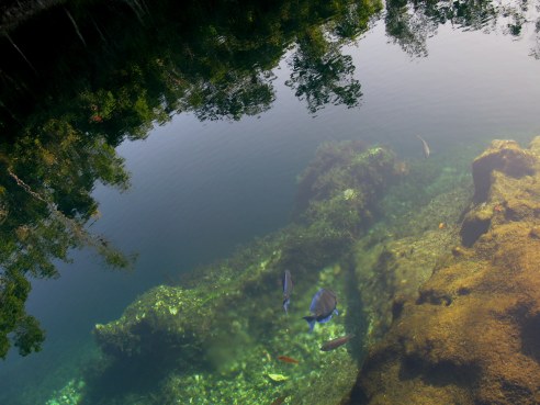 Fish and reflections Cueva de los Peces Bay of Pigs Cuba