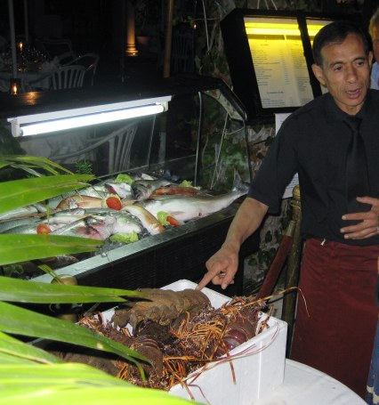 Fresh seafood restaurants Yasmine Marina Hammamet, Tunisia