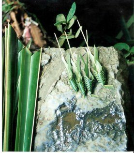 Hand-made palm leaf cicadas - Viñales valley - Cuba